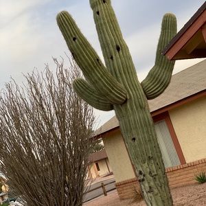 Meet your Posher, Ana